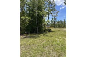 0 CELESTE {LOT6} AVENUE, WEEKI WACHEE, FL 34614 - MLS#MFRW7875823